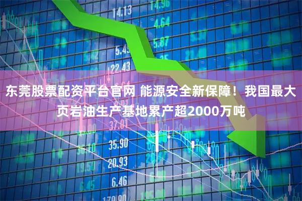 东莞股票配资平台官网 能源安全新保障！我国最大页岩油生产基地累产超2000万吨