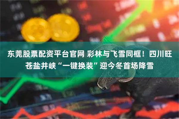 东莞股票配资平台官网 彩林与飞雪同框！四川旺苍盐井峡“一键换装”迎今冬首场降雪