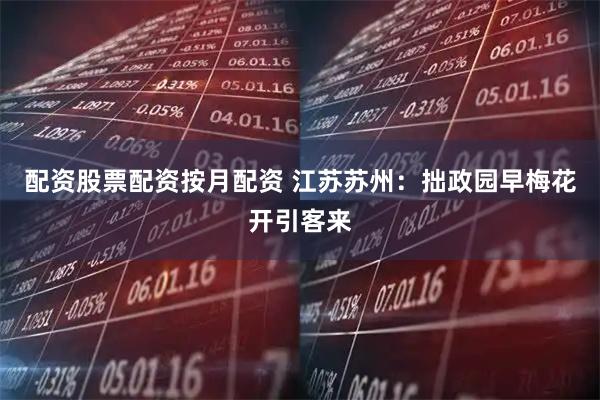 配资股票配资按月配资 江苏苏州：拙政园早梅花开引客来