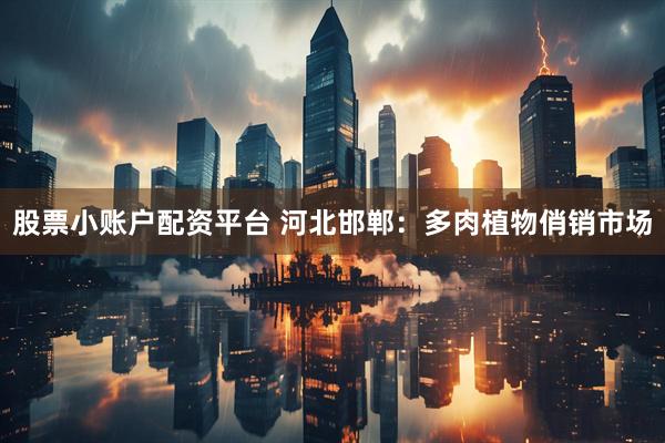 股票小账户配资平台 河北邯郸：多肉植物俏销市场