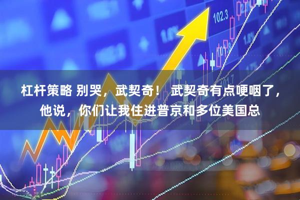 杠杆策略 别哭,武契奇! 武契奇有点哽咽了,他说,你们让我住进普京和多位美国总