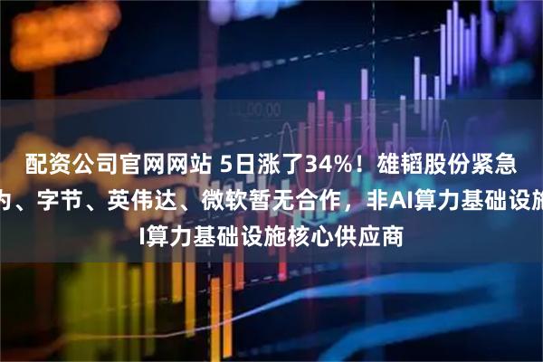 配资公司官网网站 5日涨了34%！雄韬股份紧急澄清：与华为、字节、英伟达、微软暂无合作，非AI算力基础设施核心供应商